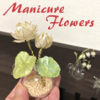 マニキュアフラワーで作る「蓮の花」の作り方♪材料コストは300円！